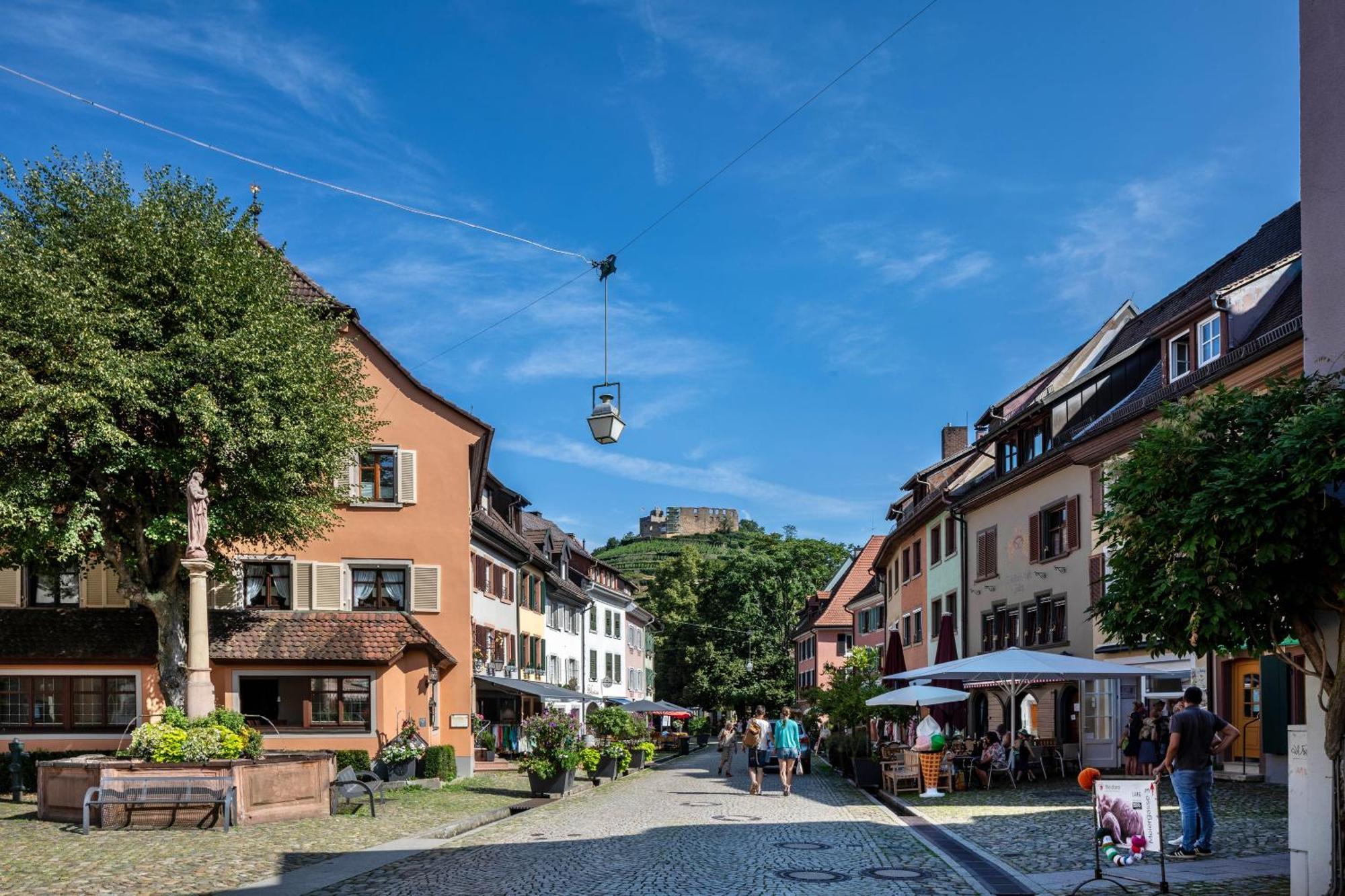 Ferienwohnung Am Neumagen Staufen-en-Brisgau Extérieur photo